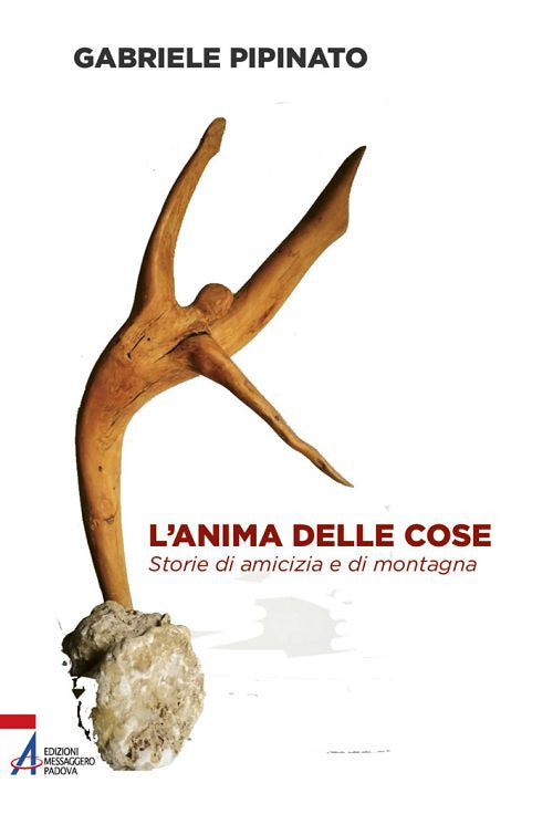Cover of anima delle cose. Storie di amicizia e di montagna