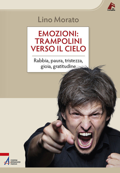 Cover of Emozioni: trampolini verso il cielo. Rabbia, paura, tristezza, gioia, gratitudine
