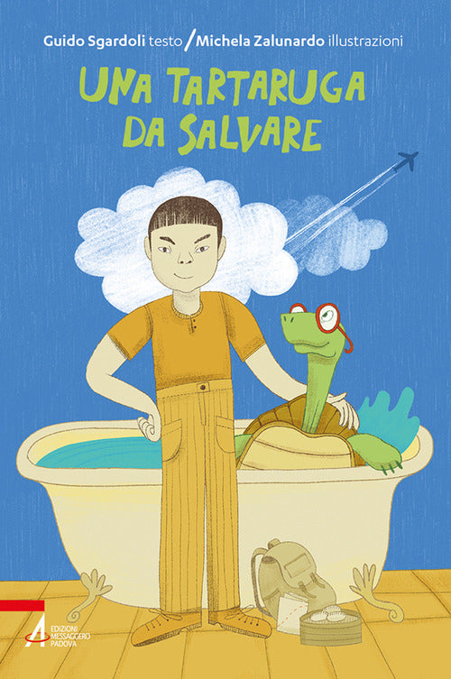 Cover of tartaruga da salvare