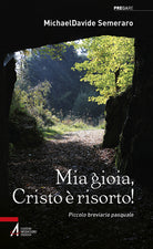 Cover of Mia gioia, Cristo è risorto! Meditazioni quotidiane da Pasqua a Pentecoste