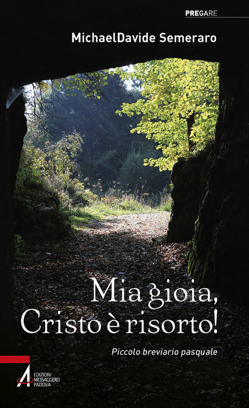 Cover of Mia gioia, Cristo è risorto! Meditazioni quotidiane da Pasqua a Pentecoste