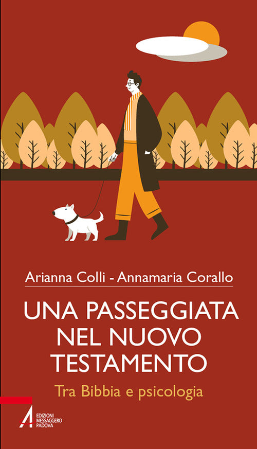 Cover of passeggiata nel Nuovo testamento. Tra Bibbia e psicologia