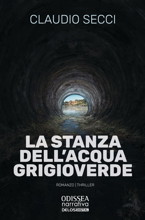 Cover of stanza dell’acqua grigioverde