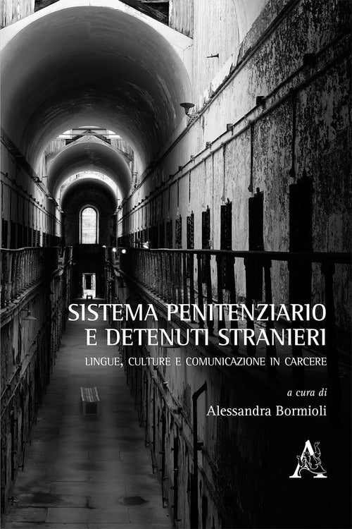 Cover of Sistema penitenziario e detenuti stranieri. Lingue, culture e comunicazione in carcere