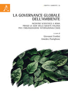 Cover of governance globale dell'ambiente. Incontro scientifico a Roma presso la sede della Società Italiana per l'Organizzazione Internazionale (SIOI)