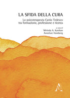 Cover of sfida della cura. Lo psicoterapeuta Canio Tedesco tra formazione, professione e ricerca