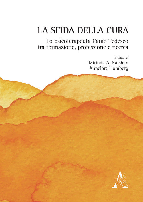 Cover of sfida della cura. Lo psicoterapeuta Canio Tedesco tra formazione, professione e ricerca