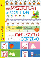 Cover of Dalla prescrittura alla scrittura. Stampato maiuscolo e corsivo
