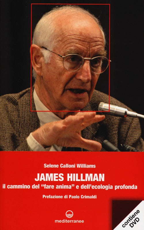 Cover of James Hillman. Il cammino del «fare anima» e dell'ecologia profonda