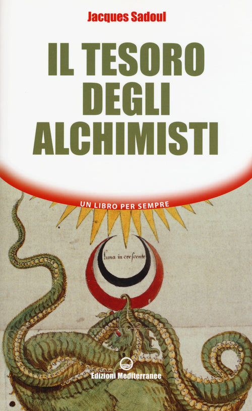 Cover of tesoro degli alchimisti