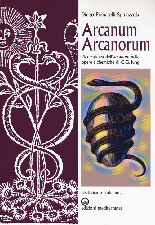Cover of Arcanum arcanorum. Ricercatezza dell'«arcanum» nelle Opere alchemiche di C.G. Jung