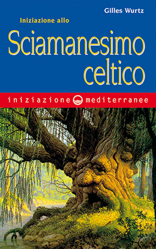 Cover of Iniziazione allo sciamanesimo celtico