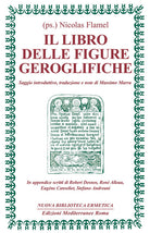 Cover of libro delle figure geroglifiche