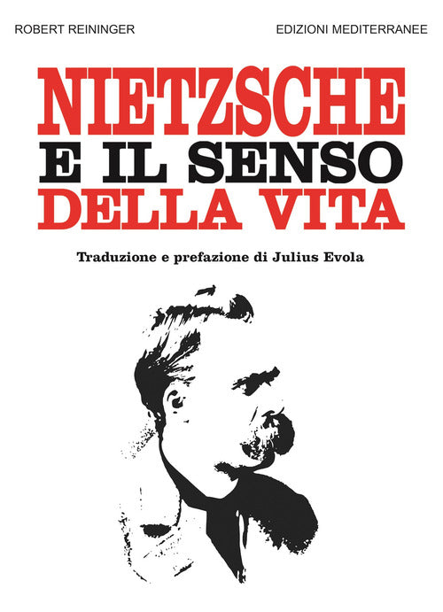 Cover of Nietzsche e il senso della vita