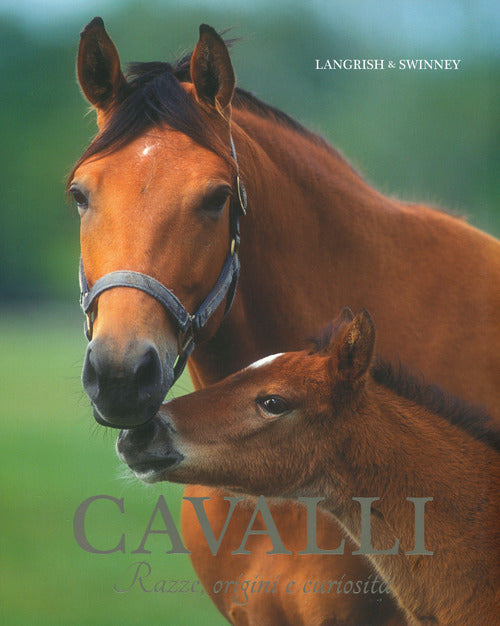 Cover of Cavalli. Razze, origini e curiosità