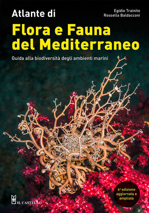 Cover of Atlante di flora e fauna del Mediterraneo. Guida alla biodiversità degli ambienti marini