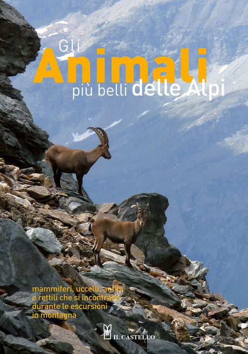 Cover of animali più belli delle Alpi. Mammiferi, uccelli, anfibi e rettili che si incontrano durante le escursioni in montagna