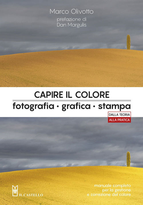 Cover of Capire il colore. Fotografia, grafica, stampa