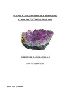 Cover of Scienze naturali chimiche e biologiche. Classe di concorso A-50 (ex A060). Esperienze laboratoriali