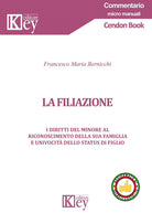 Cover of filiazione. I diritti del minore al riconoscimento della sua famiglia e univocità dello status di figlio