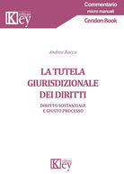 Cover of tutela giurisdizionale dei diritti. Diritto sostanziale e giusto processo