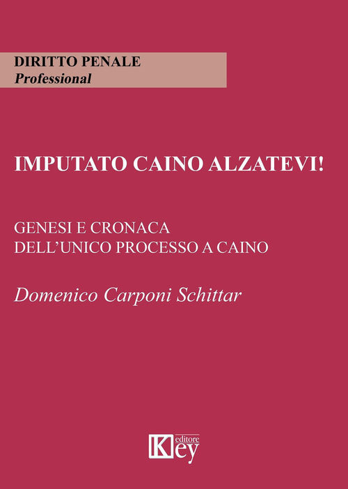 Cover of Imputato Caino alzatevi! Genesi e cronaca dell'unico processo a Caino