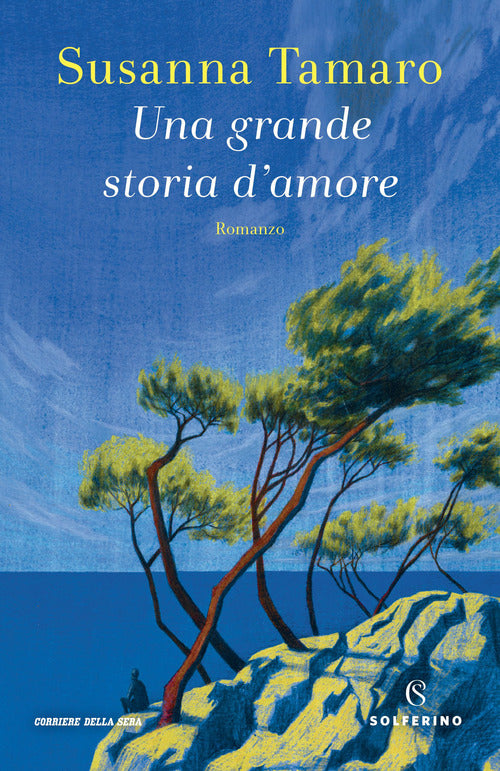 Cover of grande storia d'amore