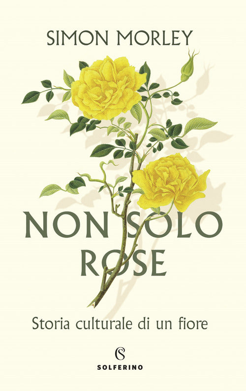 Cover of Non solo rose. Storia culturale di un fiore