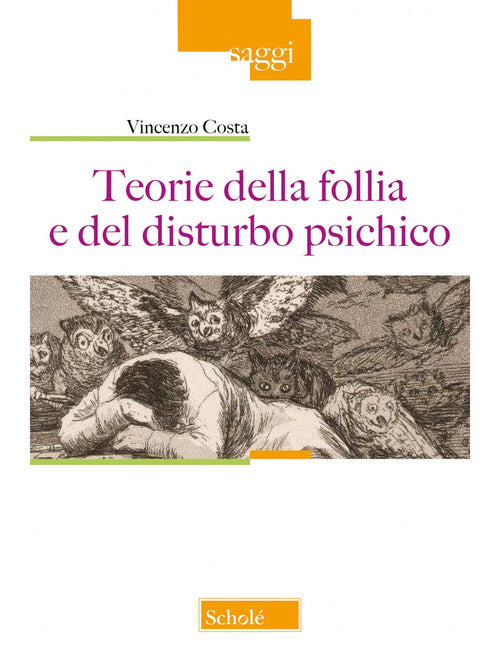 Cover of Teorie della follia e del disturbo psichico