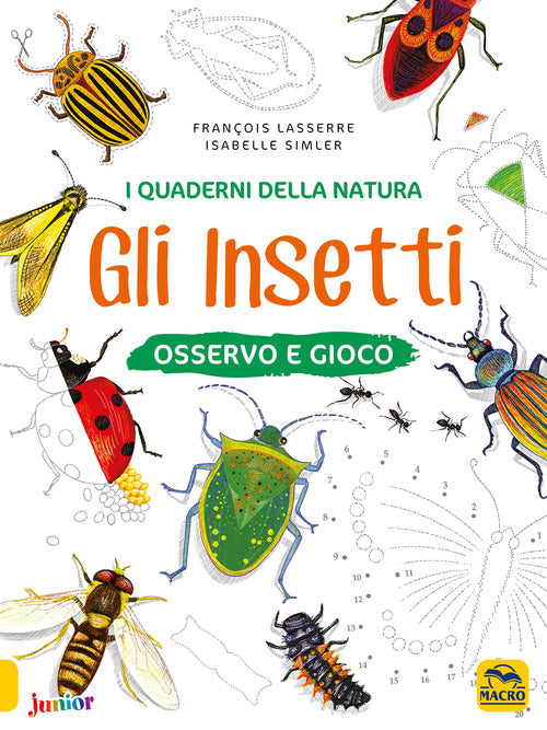 Cover of insetti. Osservo e gioco