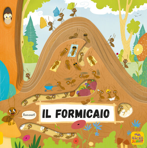 Cover of formicaio