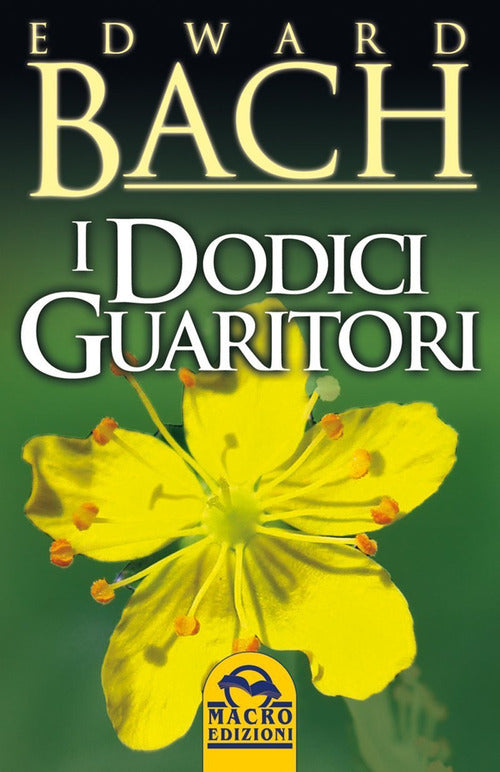 Cover of dodici guaritori