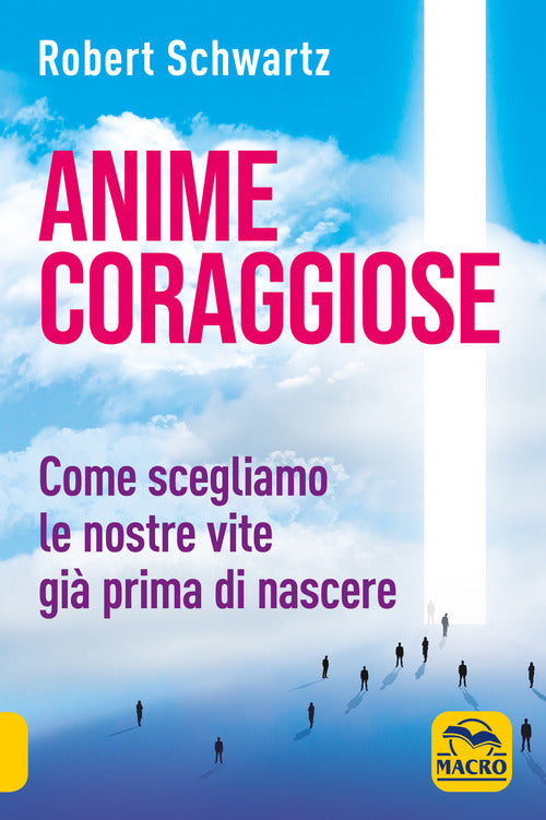 Cover of Anime coraggiose. Come scegliamo le nostre vite già prima di nascere