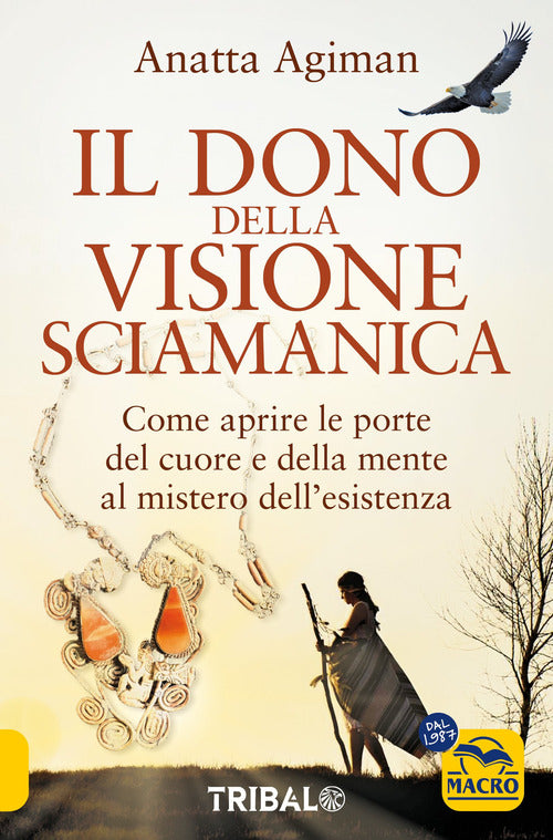 Dono della visione. Come aprire le porte del cuore e della mente al mistero dell'esistenza