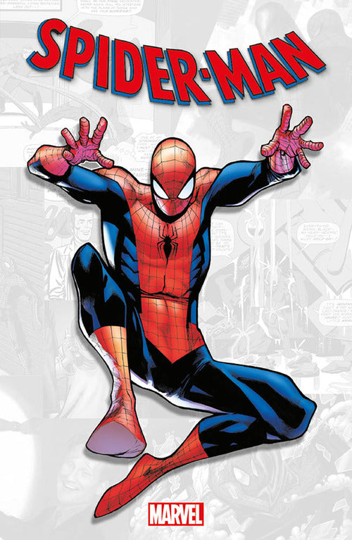 Cover of Spider-Man. Marvel-verse