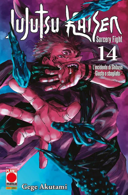 Cover of Jujutsu Kaisen. Sorcery Fight