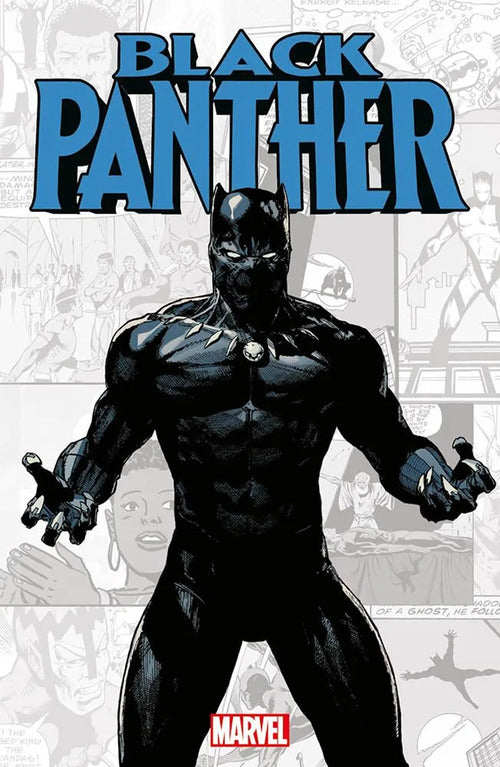 Cover of Black Panther. Marvel-verse