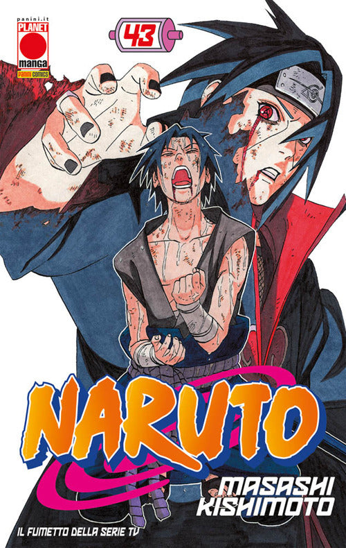 Cover of Naruto. Il mito