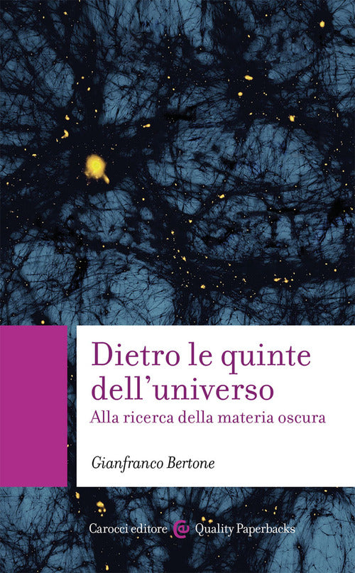 Cover of Dietro le quinte dell'universo. Alla ricerca della materia oscura