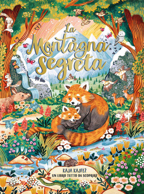 Cover of montagna segreta