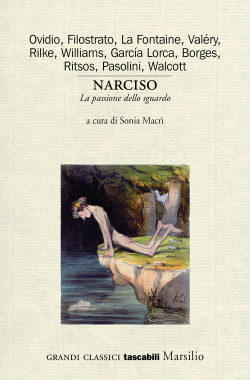 Cover of Narciso. La passione dello sguardo. Variazioni sul mito