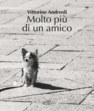 Cover of Molto più di un amico