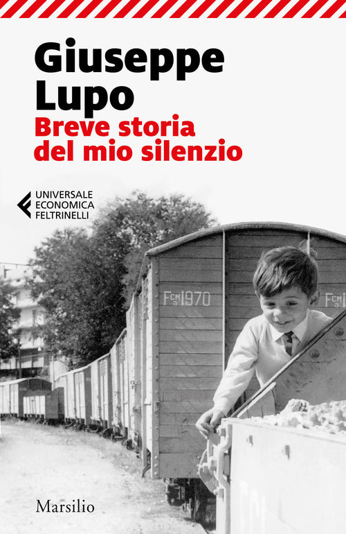 Cover of Breve storia del mio silenzio