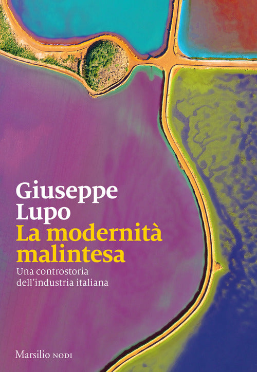 Cover of modernità malintesa. Una controstoria dell’industria italiana