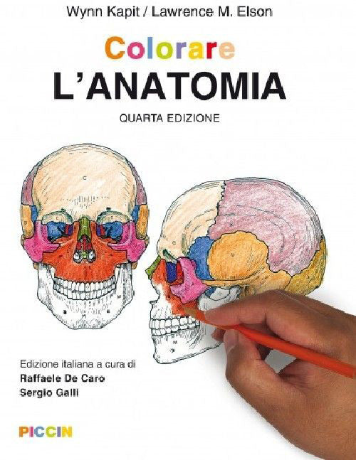 Cover of Colorare l'anatomia
