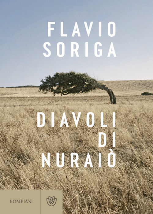 Cover of Diavoli di Nuraiò