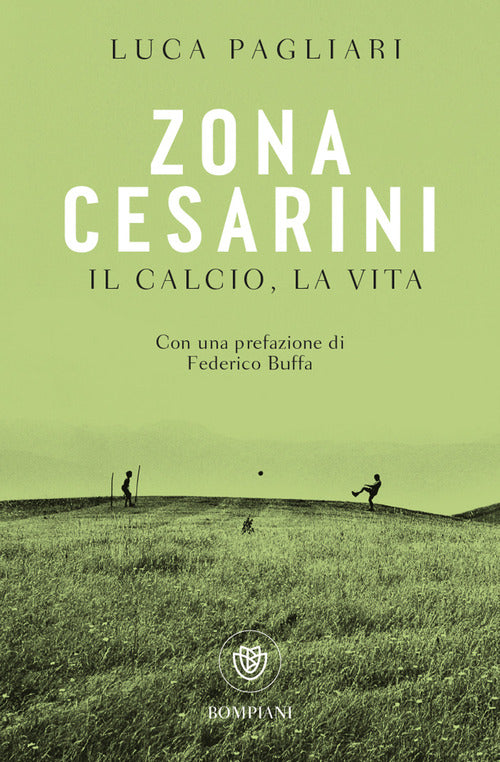 Cover of Zona Cesarini. Il calcio, la vita