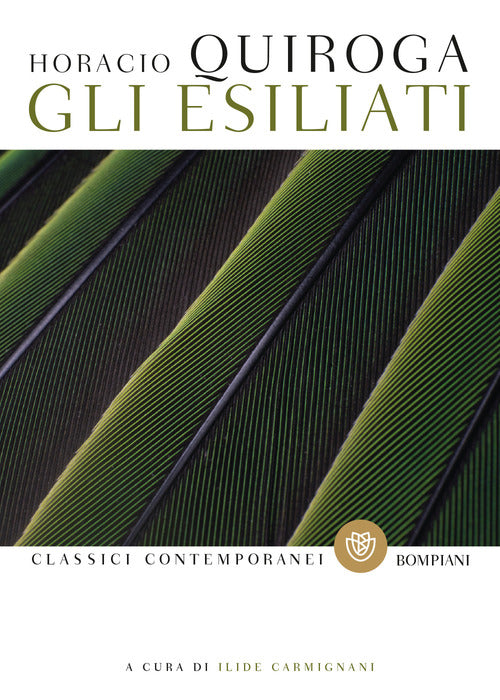 Cover of esiliati