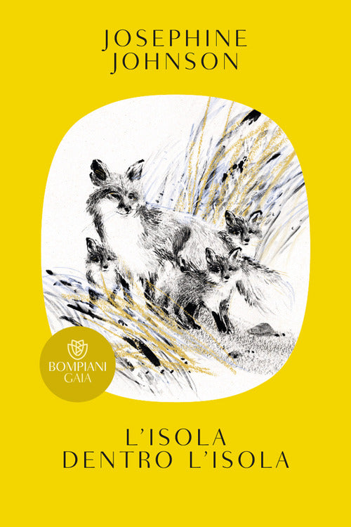 Cover of isola dentro l'isola