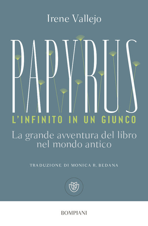 Cover of Papyrus. L'infinito in un giunco